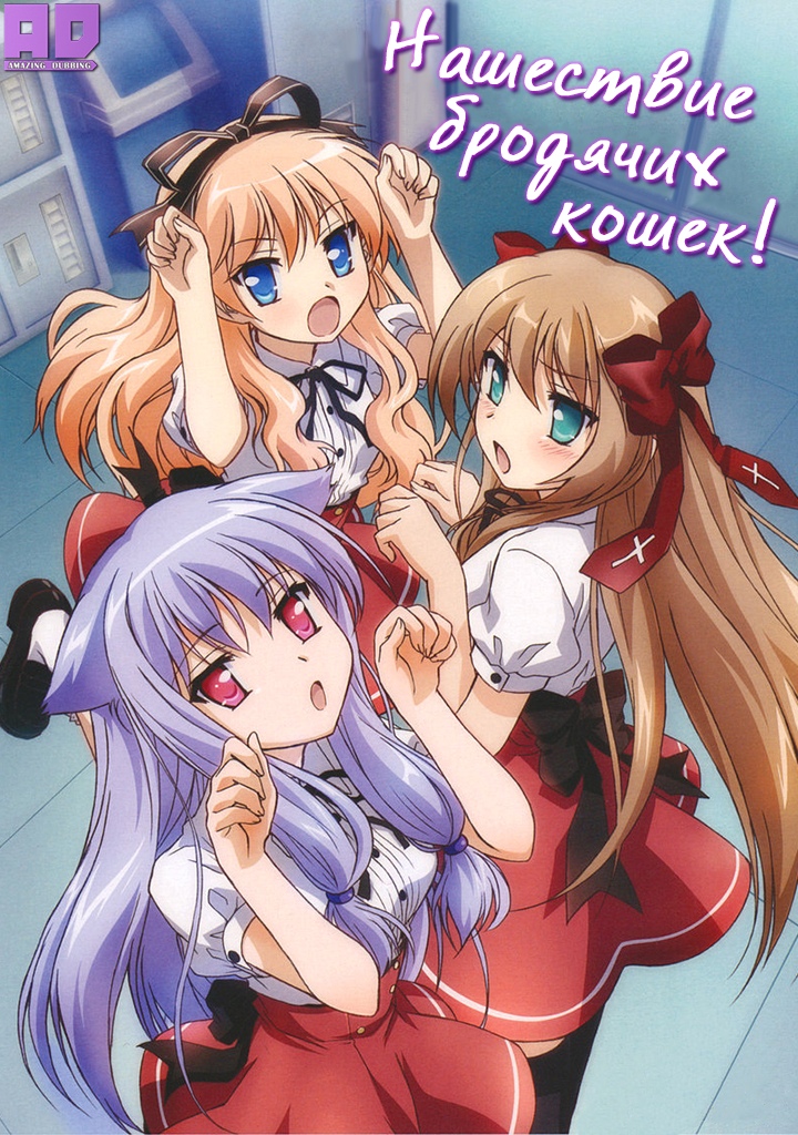 Нашествие бродячих кошек! | Mayoi Neko Overrun!